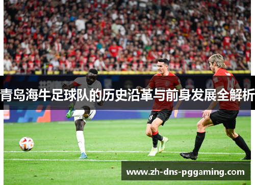 青岛海牛足球队的历史沿革与前身发展全解析